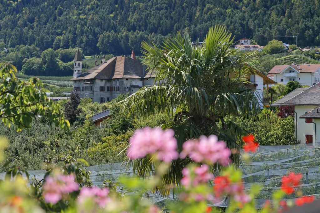 Felsenegg Hotel Nalles Cameră foto